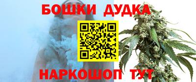 индика Анжеро-Судженск