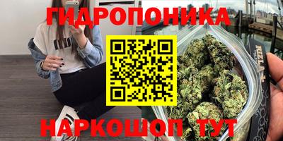 индика Анжеро-Судженск